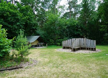Glamping tent for 2 on the Veluwe - 8