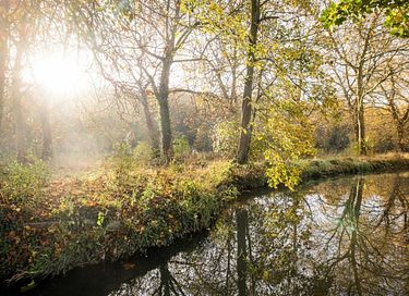 Luxe privé glamping aan het water met hottub - 32