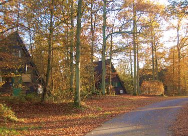 Lodge con vista spettacolare nelle Ardenne - 28