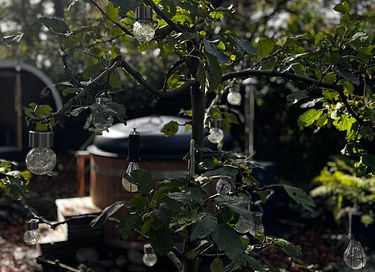 Wellness chalet in bos met sauna en hottub - 17