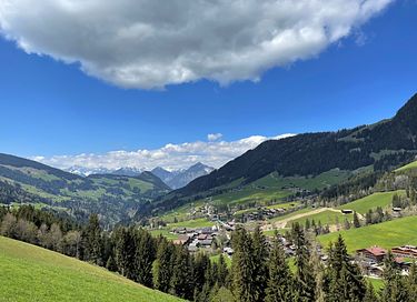 Bosrijk chalet in Oostenrijk (6p) - 34