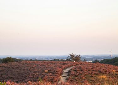 Ontspan met hottub en sauna op de Veluwe (8p) - 21