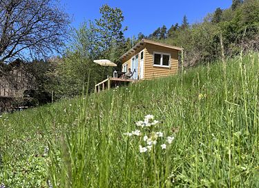Adventurous Tiny House in the Woods - 1