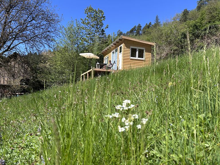 Adventurous Tiny House in the Woods - 1