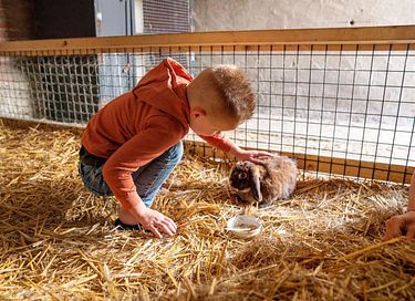 Duurzame boerderijvakantie in Brabant - 14