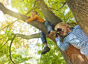 Trekkershut (4p) op leuke camping in het bos - 12