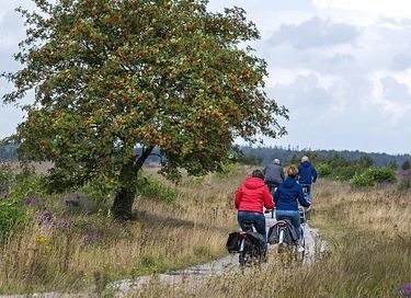Vakantiewoning in Drenthe met veel privacy - 33