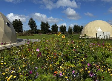 Romantischer Wellness-Aufenthalt in einem luxuriösen Dome - 32