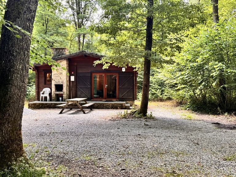 Haustierfreundliches Waldhaus in den Ardennen - 1