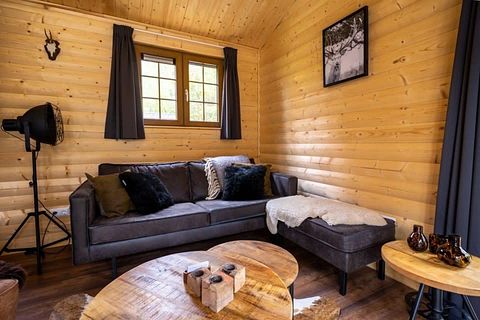 Chalet rustique dans le Veluwe - 5