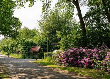 6-persoons vakantiehuis met privé sauna - 22