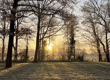 Spend the night in a romantic spot in Twente - 14