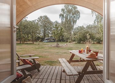 Cozy glamping tent in the middle of the forest - 4