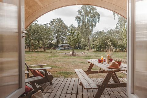 Cozy glamping tent in the middle of the forest - 4