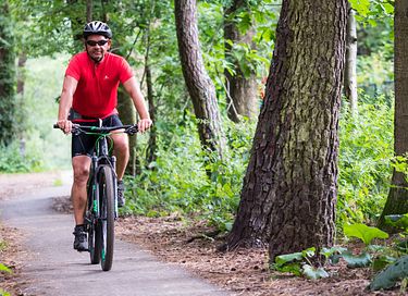 Cabane de randonneur pour 4 personnes en Campine belge - 10