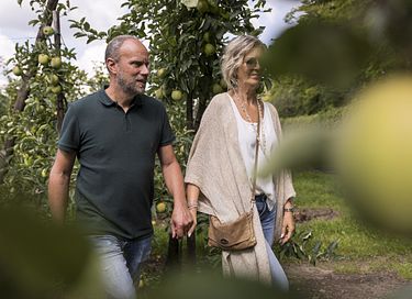 Overnatning i et tidligere kloster i Belgien - 29