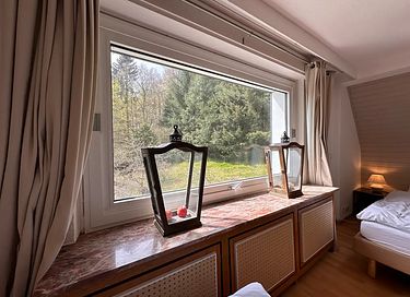 Villa privée au milieu de la forêt en Allemagne - 19