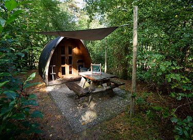 Hyggelig pod i de drentske skove - 7