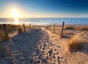 Luxury wellness villa on Texel - 15