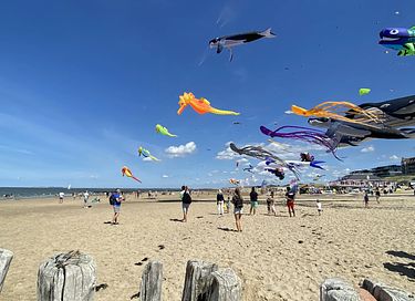 Modern strandhuis op het strand in Zeeland - 18