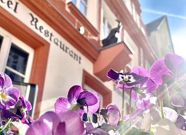 Nachhaltiges Boutique-Hotel in Bayern - 33