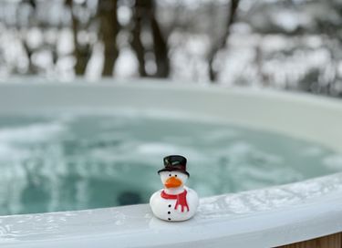 Natuurhuisje met wellness arrangement - 48