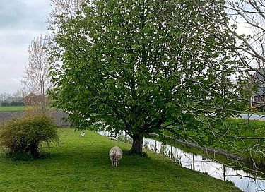 Monumentale stolpboerderij met wellness - 25