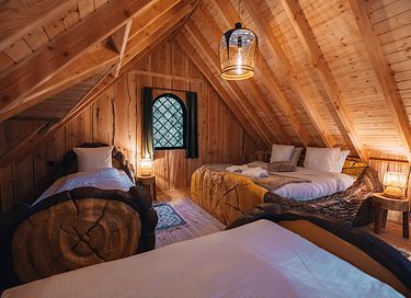 Treelodge avec sauna dans les Ardennes - 22