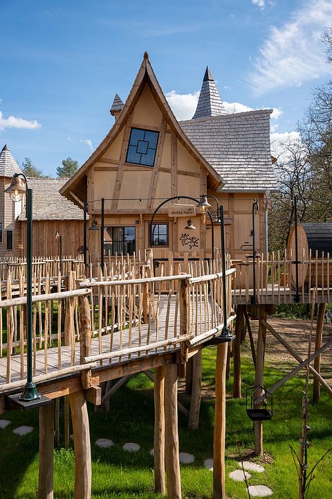 Unieke boomlodge in de Ardennen - 4