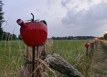Historische overnachting voor 12 personen  - 11
