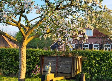 Gemütlicher Zirkuswagen mit Whirlpool - 32