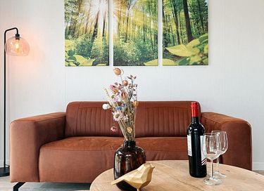 Luxe chalet midden in de Drentse natuur - 4