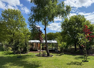 Natuurhuisje met wellness arrangement - 26