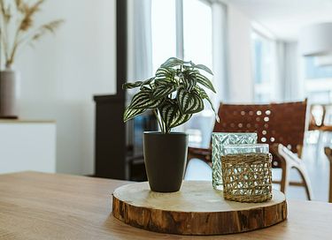 Luxe vakantiewoning omringd door de duinen - 13