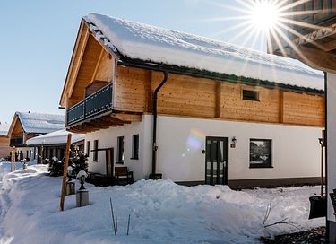 Luxury apartment with sauna in Austria - 22
