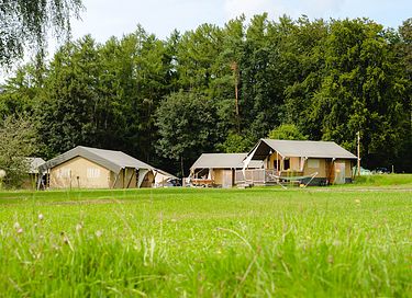 Glamping tent (5p) in Belgian Ardennes - 43