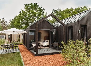 Tiny House in Veluwe (Dog allowed) - 1