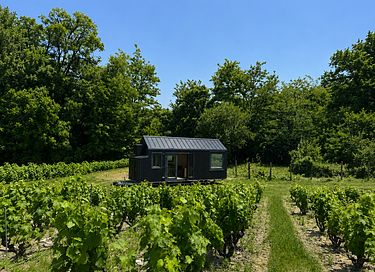 Tiny House tussen de wijnranken