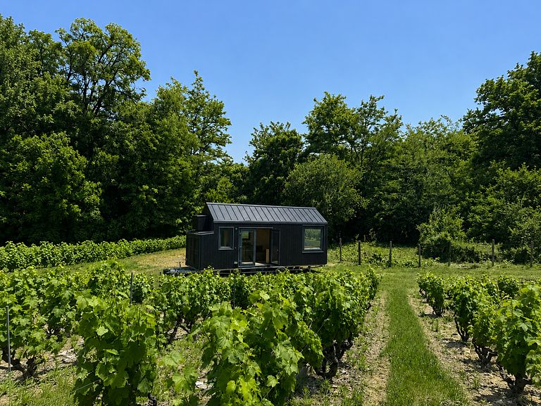 Et Tiny House midt blandt vinrankerne - 1