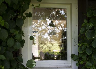 Uniquely situated nature house in Amsterdam - 28