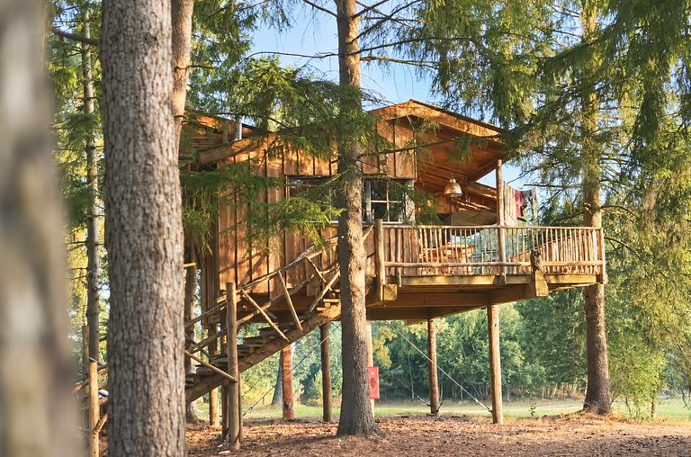 Boomhut Drenthe met groot terras - 1