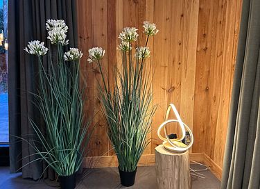 Waldhaus mit Wellness und Aussicht in Drenthe - 15