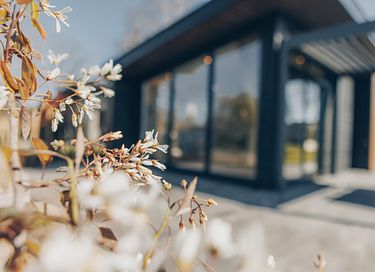 Luxe vakantiewoning (6 personen) op een park - 24