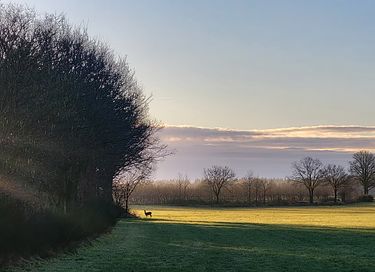 Séjour spacieux avec vue panoramique - 26