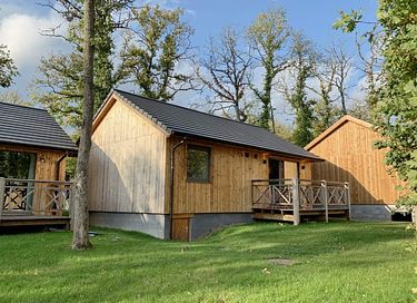 Modern wooden forest cabin in the Ardennes - 2