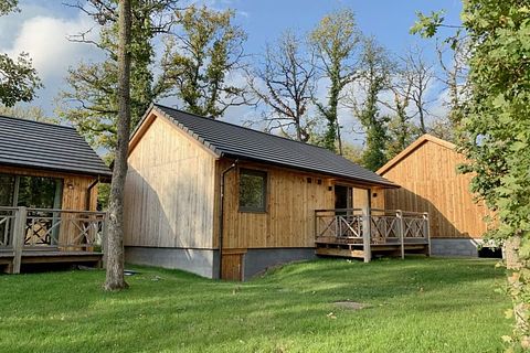 Modern wooden forest cabin in the Ardennes - 2