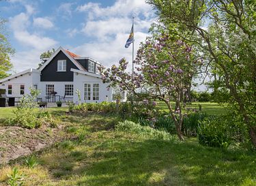 Country house for 6 people in the polder - 41
