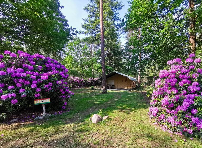 Romantische safaritent met ligbad - 1