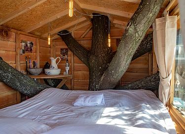 Dormez dans une unique cabane dans un arbre à Amsterdam - 5