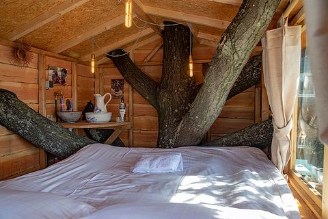 Dormez dans une unique cabane dans un arbre à Amsterdam - 5